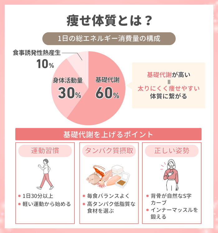 痩せ体質とは？基礎代謝が高く太りにくい体を目指す筋肉づくり