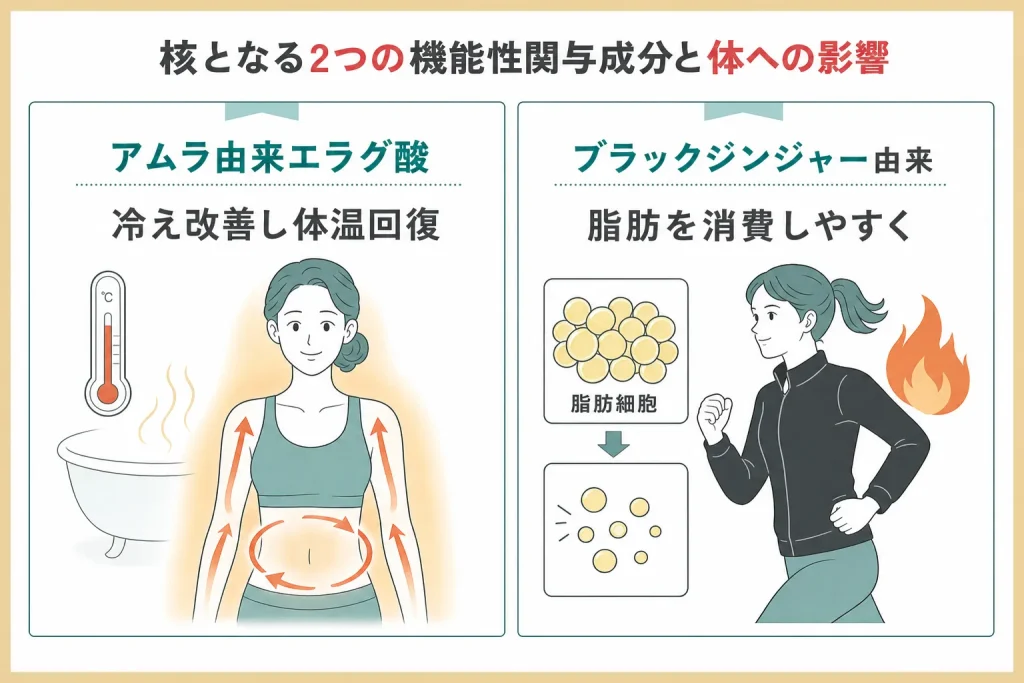 スリリンファイアにはエラグ酸とポリメトキシフラボンの機能性関与成分が含まれていることを説明