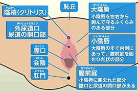 外陰部のトラブル 渋谷文化村通りレディスクリニック