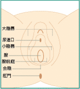 尖 圭 コンジローマ