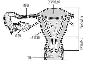 テスト結果は何を意味しますか?